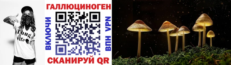 гидра ссылки  Самара  Псилоцибиновые грибы Cubensis 